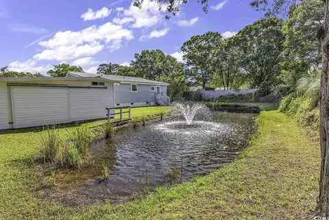 Other - 1186 Pine Loop Rd, Conway, SC 29526 photo 7 of 8