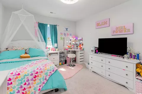 Bedroom - 375 Fennec Loop, Conway, SC 29526 photo 10 of 11