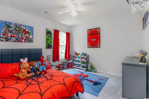 Bedroom - 375 Fennec Loop, Conway, SC 29526 photo 3 of 11