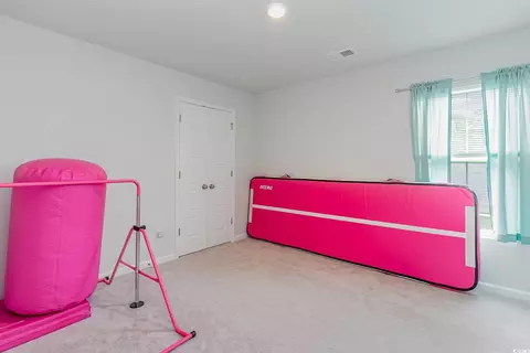 Bedroom - 375 Fennec Loop, Conway, SC 29526 photo 1 of 11