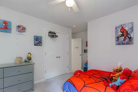Bedroom - 375 Fennec Loop, Conway, SC 29526 photo 4 of 11