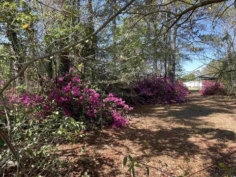 1195 Log Cabin Rd, Loris, SC 29569 photo 4