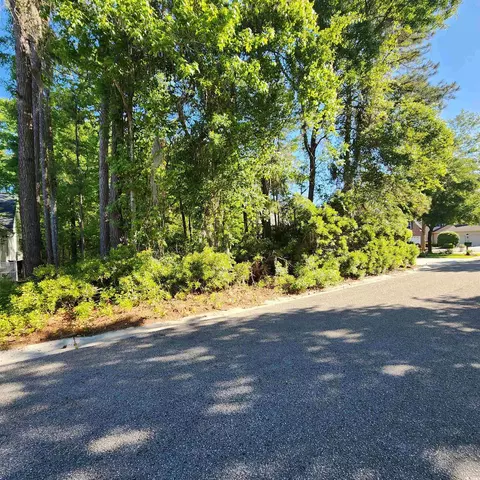 tbd Pintail Ct, Pawleys Island, SC 29585