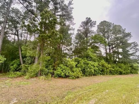 Tbd Landolfi Rd., Loris, SC 29569 photo 12