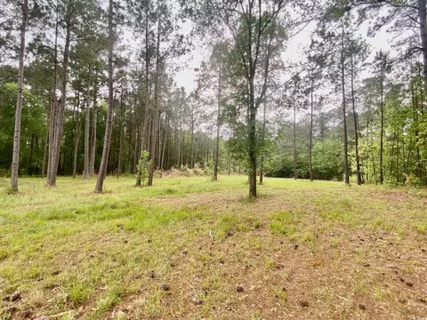 Tbd Landolfi Rd., Loris, SC 29569 photo 14