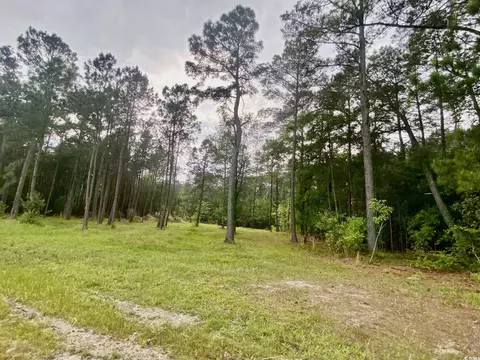 Tbd Landolfi Rd., Loris, SC 29569 photo 11
