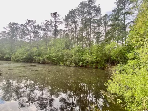 Tbd Landolfi Rd., Loris, SC 29569 photo 4