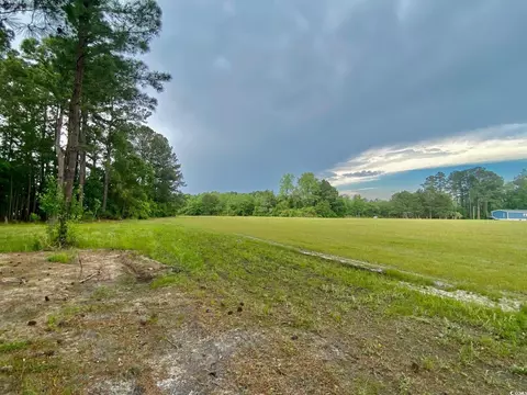 Tbd Landolfi Rd., Loris, SC 29569 photo 7