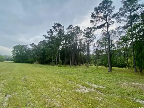 Tbd Landolfi Rd., Loris, SC 29569 photo 10