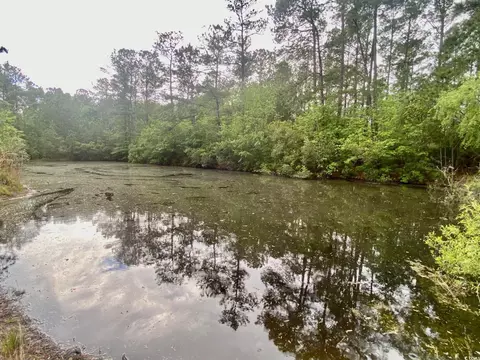 Tbd Landolfi Rd., Loris, SC 29569 photo 2