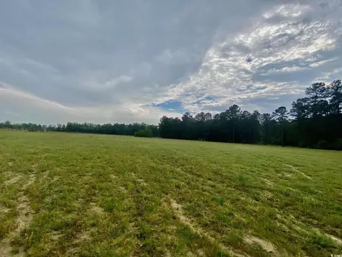 Tbd Landolfi Rd., Loris, SC 29569 photo 9