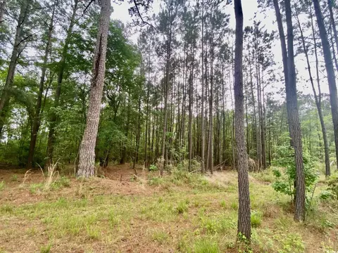 Tbd Landolfi Rd., Loris, SC 29569 photo 6