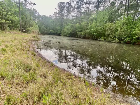 Tbd Landolfi Rd., Loris, SC 29569 photo 5