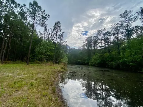 Tbd Landolfi Rd., Loris, SC 29569 photo 3