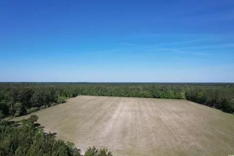 7415 Black Creek Rd, Nichols, SC 29581