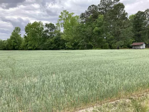 tbd Grant Dr, Pamplico, SC 29583