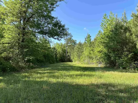 Tbd Mcdonald Rd., Greeleyville, SC 29056