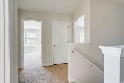 4419 Stevens St, Loris, SC 29569 photo 26