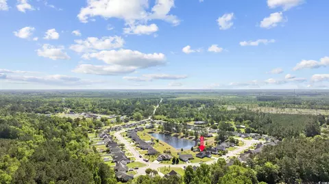 295 Georgia Mae Loop, Conway, SC 29526 photo 35