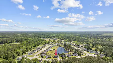 295 Georgia Mae Loop, Conway, SC 29526 photo 34