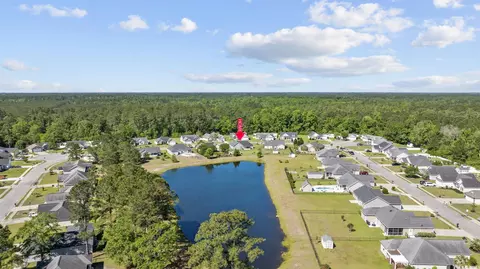 295 Georgia Mae Loop, Conway, SC 29526 photo 37