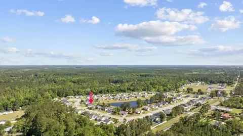 295 Georgia Mae Loop, Conway, SC 29526 photo 36