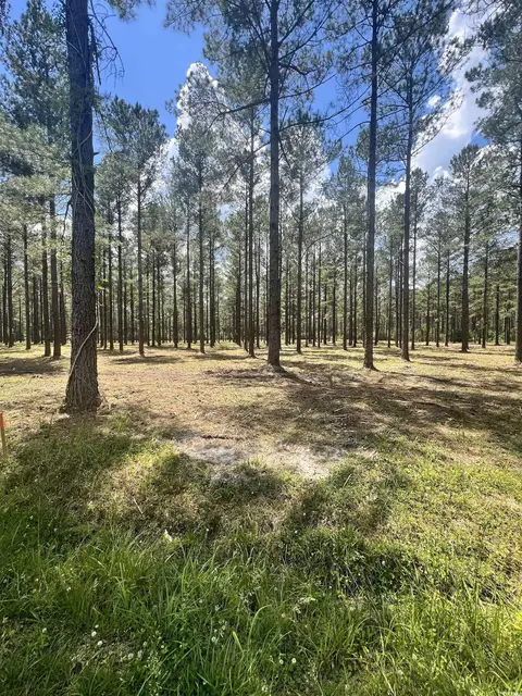lot2 Ashley Cir, Conway, SC 29526