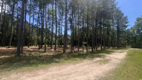 0 46 Acres Cotton Patch Rd, Longs, SC 29568 photo 3