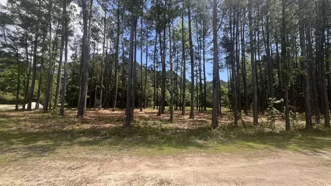 0 46 Acres Cotton Patch Rd, Longs, SC 29568 photo 2