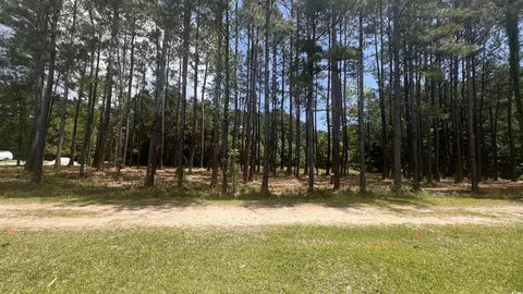 0 46 Acres Cotton Patch Rd, Longs, SC 29568