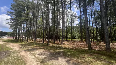 0 46 Acres Cotton Patch Rd, Longs, SC 29568 photo 6
