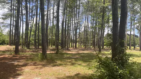 0 46 Acres Cotton Patch Rd, Longs, SC 29568 photo 7