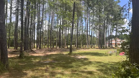 0 46 Acres Cotton Patch Rd, Longs, SC 29568 photo 8