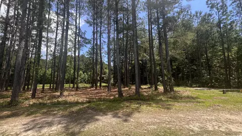 0 46 Acres Cotton Patch Rd, Longs, SC 29568 photo 5