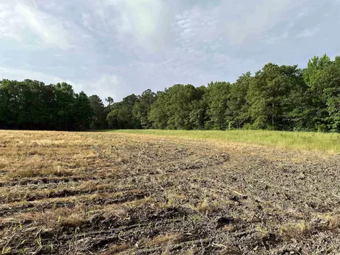 Tbd Salem Rd., Scranton, SC 29591 photo 11