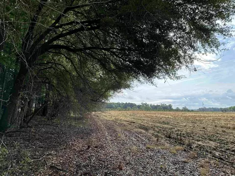 Tbd Salem Rd., Scranton, SC 29591 photo 3