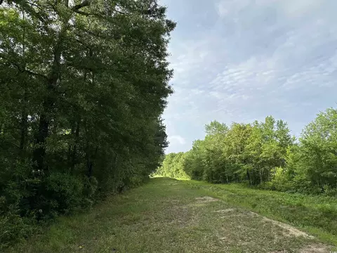 Tbd Salem Rd., Scranton, SC 29591 photo 7