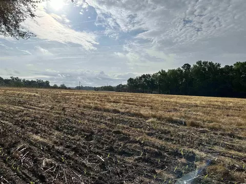 Tbd Salem Rd., Scranton, SC 29591 photo 10