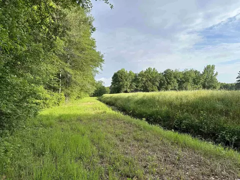 Tbd Salem Rd., Scranton, SC 29591 photo 4