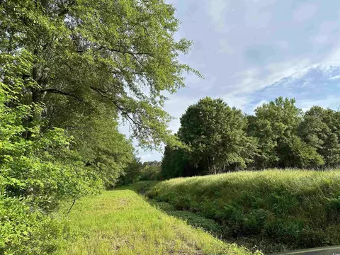 Tbd Salem Rd., Scranton, SC 29591 photo 5