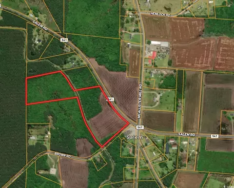 Tbd Salem Rd., Scranton, SC 29591 photo 12