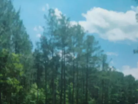 Puncheon Creek Dr., Andrews, SC 29510