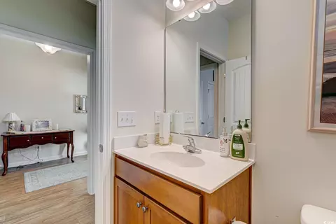 328 Palm Terrace Loop, Conway, SC 29526 photo 29