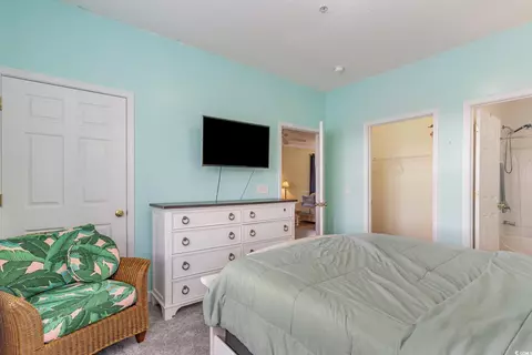 304 Kiskadee Loop #H, Conway, SC 29526 photo 10