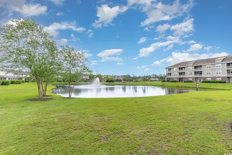 304 Kiskadee Loop #H, Conway, SC 29526 photo 22