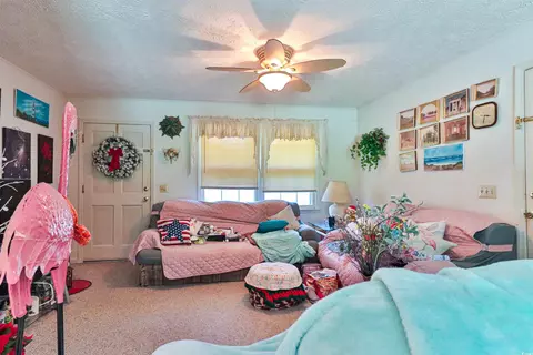 292 Goretown Loop, Loris, SC 29569 photo 4