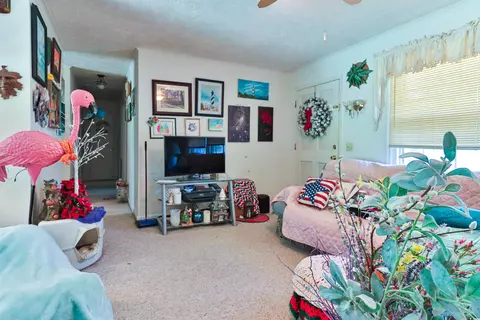 292 Goretown Loop, Loris, SC 29569 photo 5