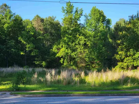 Tbd Main St., Loris, SC 29569 photo 2