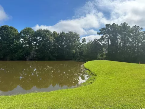 788 Bickell Ct, Surfside Beach, SC 29575 photo 30