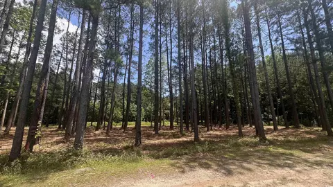 0 44 Acres Cotton Patch Rd, Longs, SC 29568